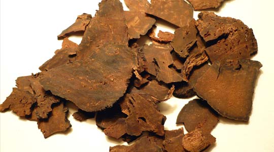 Acupuncture and Oriental Medicine