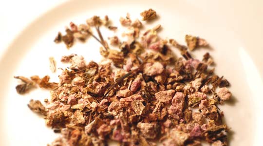 Herb | Herbal Medicine