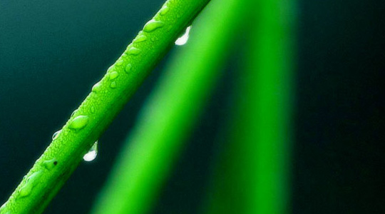 JK Acupuncture Clinic | California