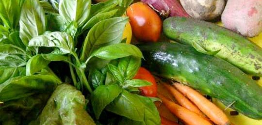 Acupuncture and Oriental Medicine