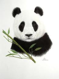 Acupuncture and Oriental Medicine